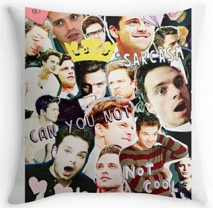 

Popular sebastian stan cold collage Case Cover Throw Pillowcase Soft Zippered Pillow Cover