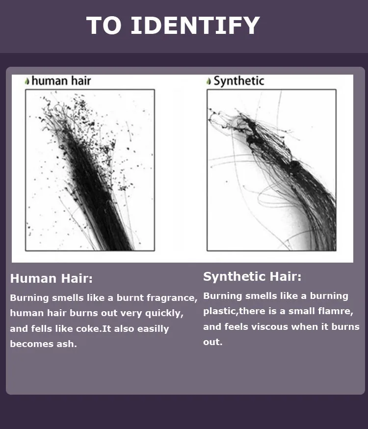 human hair identify