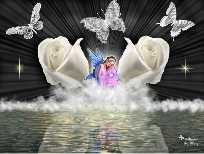HTB1wFWWLpXXXXXeapXXq6xXFXXXz