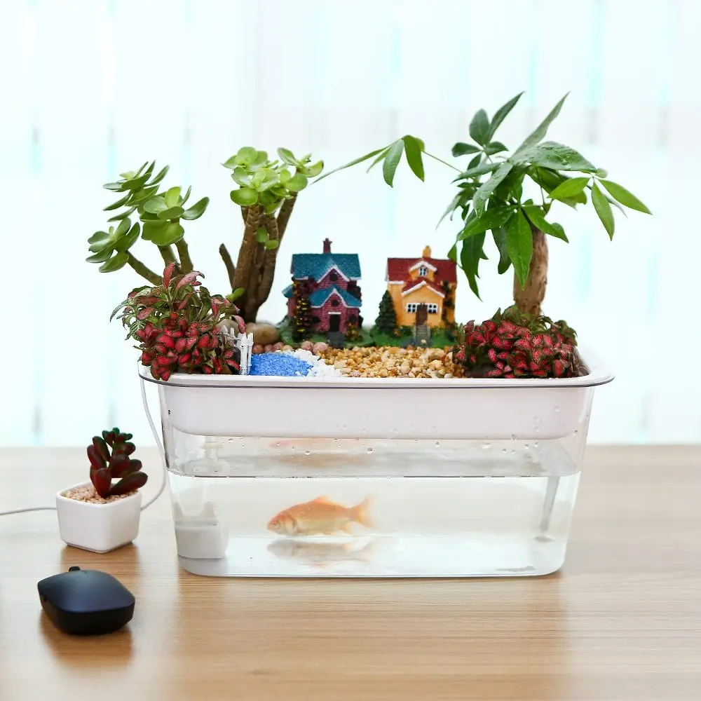 

Hydroponics Fish Tank Aquaponics Ecosystem Small Water Garden Ecological Fish Tank Aquarium Transparent Aquarium Home Decoration