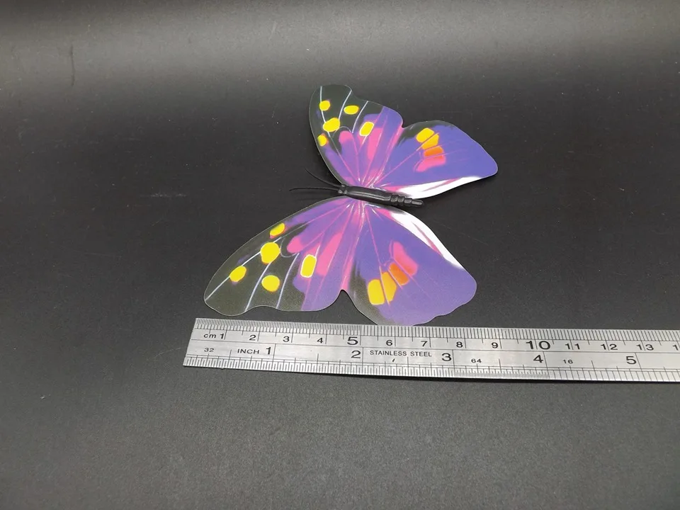 I193-Butterfly (9)