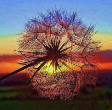 

5D DIY Diamond painting Landscape Sunset dandelion Full Round Diamond embroidery Cross stitch Holiday Gifts