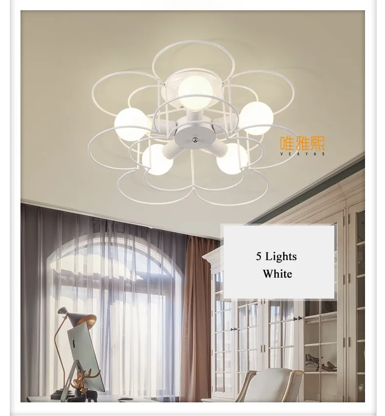 XC-8017 Ceiling lighting (10)_A