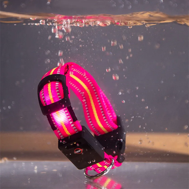 Dog Collar Luminous (7)