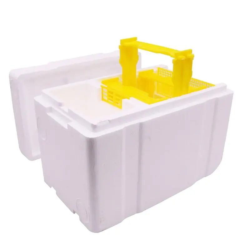 

Bee Hive Beekeeping King Box Pollination Box Foam Frames Beekeeping Tool Kit