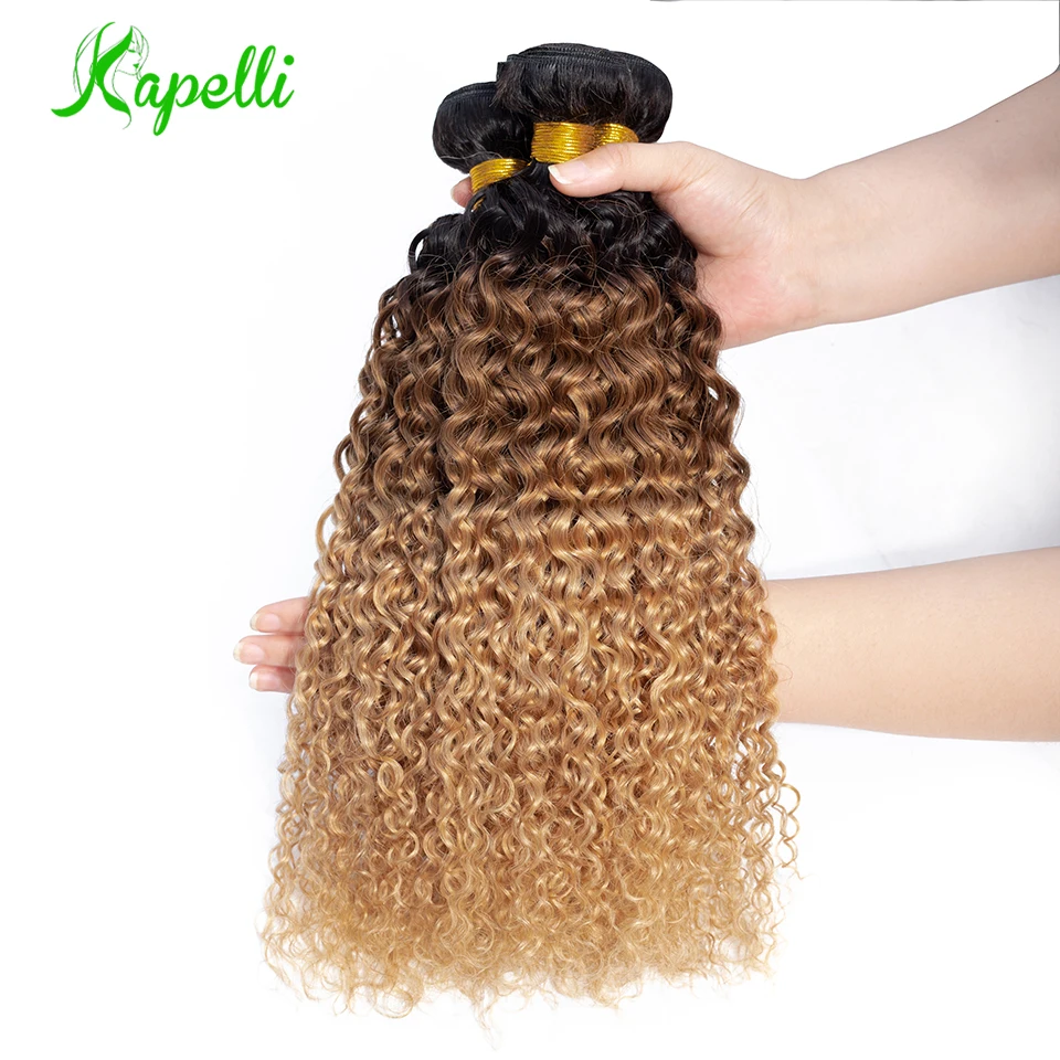 malaysian curly hair ombre human hair bundles