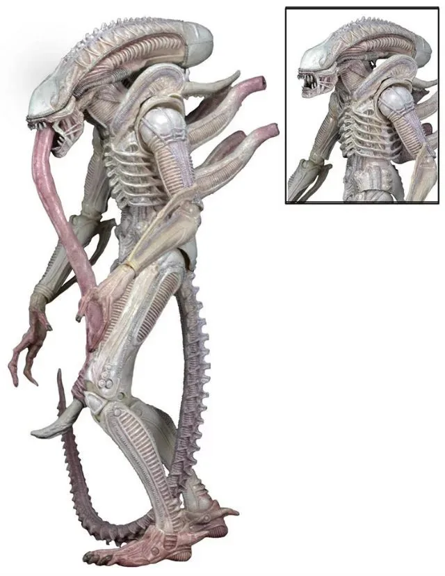 3 вида стилей инопланетянин NECA Series 9 Xenomorph Albino Drone частный Ricco Frost Jenette Vasquez ПВХ фигурка Коллекционная модель игрушки