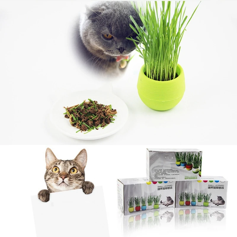 Кошка Трава кошки игрушки-Жвачки набор цветочный горшок почвы для кошек, чтобы съесть Плантатор Набор Крытый или открытый