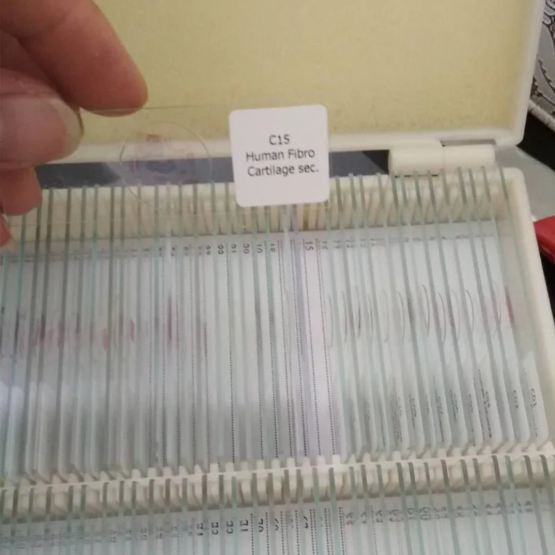 

100pcs Meidical Human Histology Slides Set histology prepared slides