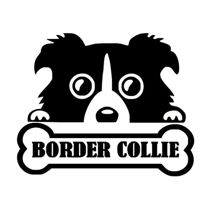 

13.5cm*11cm Personalized Animal Border Collie Personality Bone Cute Fashion Car Stickers C5-0836