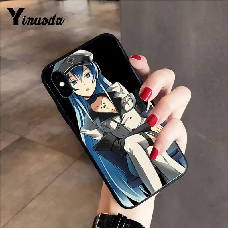 Akame Ga Kill Anime