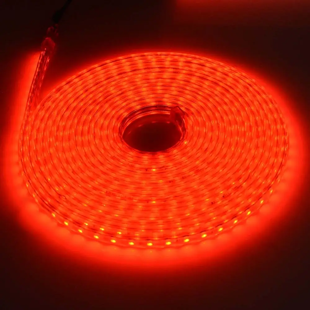 Водонепроницаемый светодиодный ленточный светильник 220 В гибкий 5050 наружный садовый светильник лента ip67 для домашнего шкафа кухни потолочное украшение с европейской вилкой - Испускаемый цвет: Красный