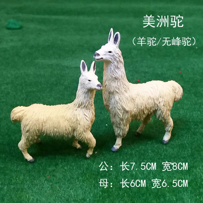 20180411_171848_00000000000000000000