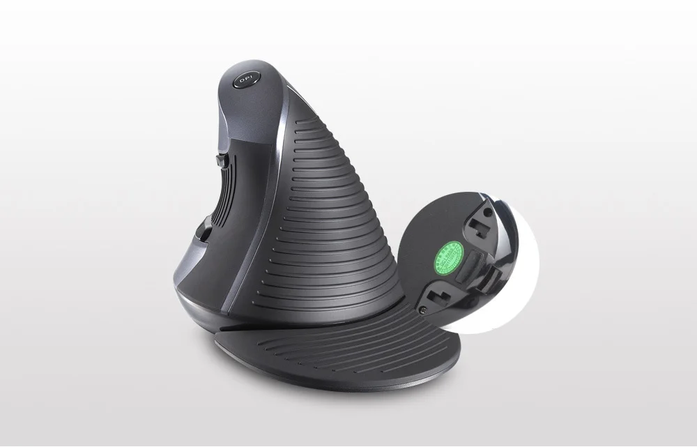 computer mouse 