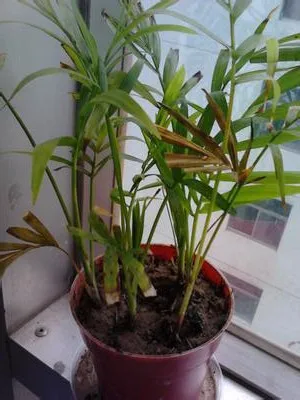 u=3673960769,2118962895&fm=214&gp=0