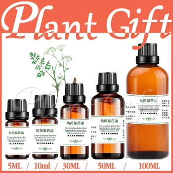 

100% Pure Plant Herbal Medicine Oils Divaricate Saposhnikovia Root Herbal Oil Essential Oils Saposhnikovia Divaricata