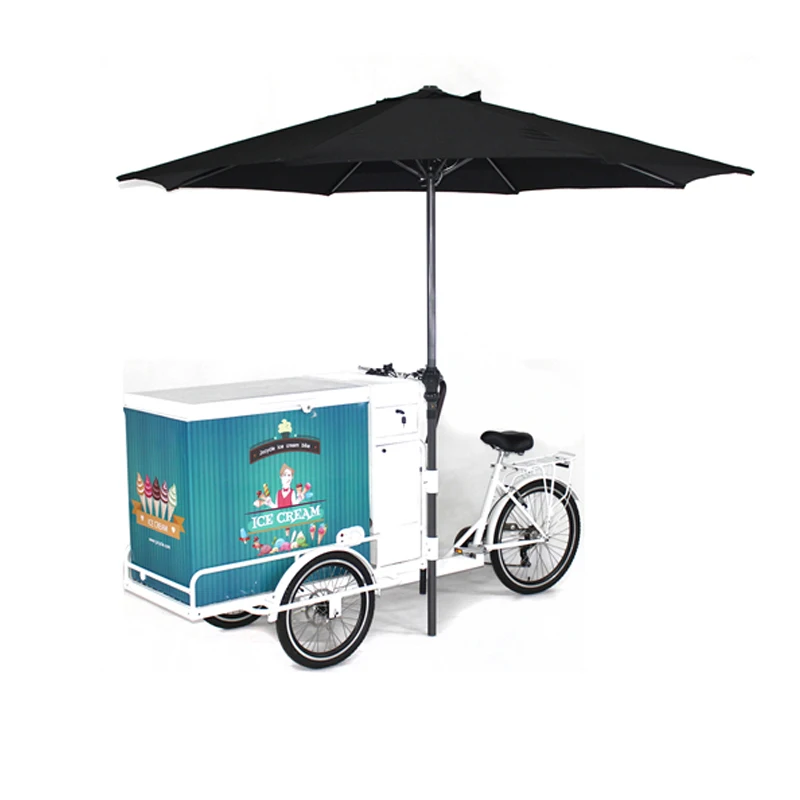 Hot lowest price electric cargo bike refrigerator cargo bike in food