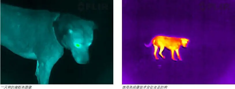 Тепловизионный прицел ночного видения прицел FLIR Scout TK тепловизирующий прицел