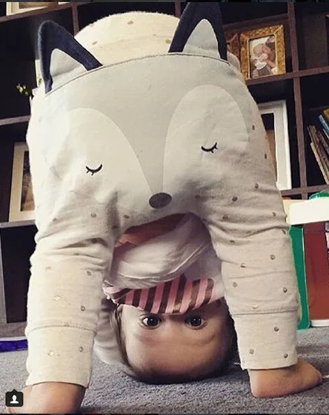 Mola do Bebê Raposa dos Desenhos Meninas Meninos Calças Harem Pants Algodão Animados Impresso Compridas Animal Criança Crianças Roupas 8 Mamãe e Bebê