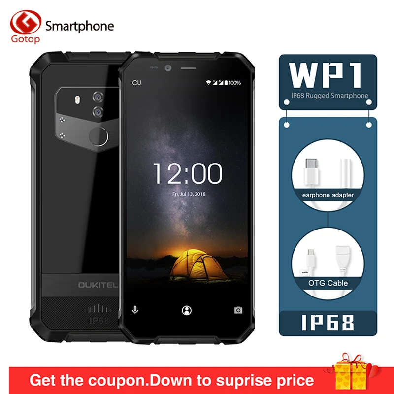 WP1