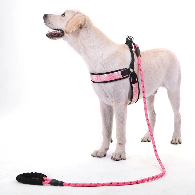 PU Leather Dog Harness Strong Pet Training Walking Outdoor Chest Strap