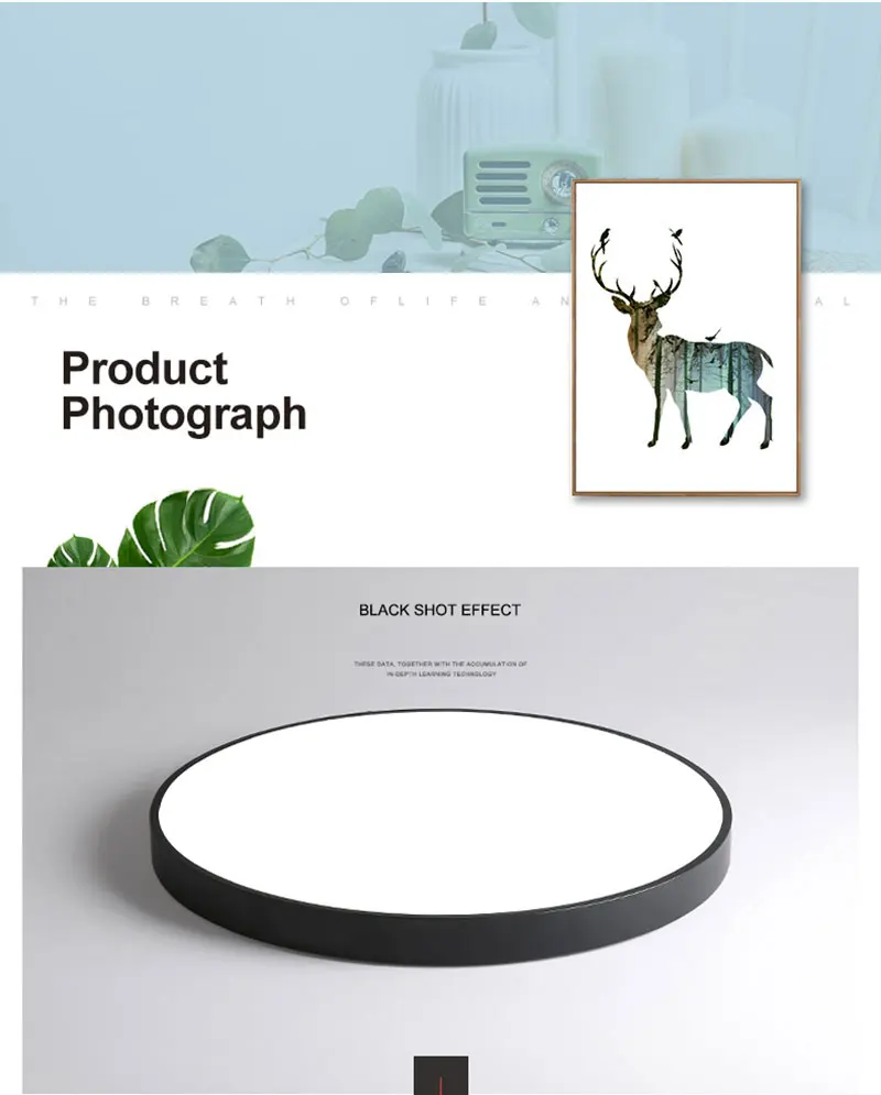 Modern Minimalist Ultra-thin 5CM LED Ceiling Lamp Multicolor Art LED Ceiling Light for Living Room Children's Room Coffee Shop (16)