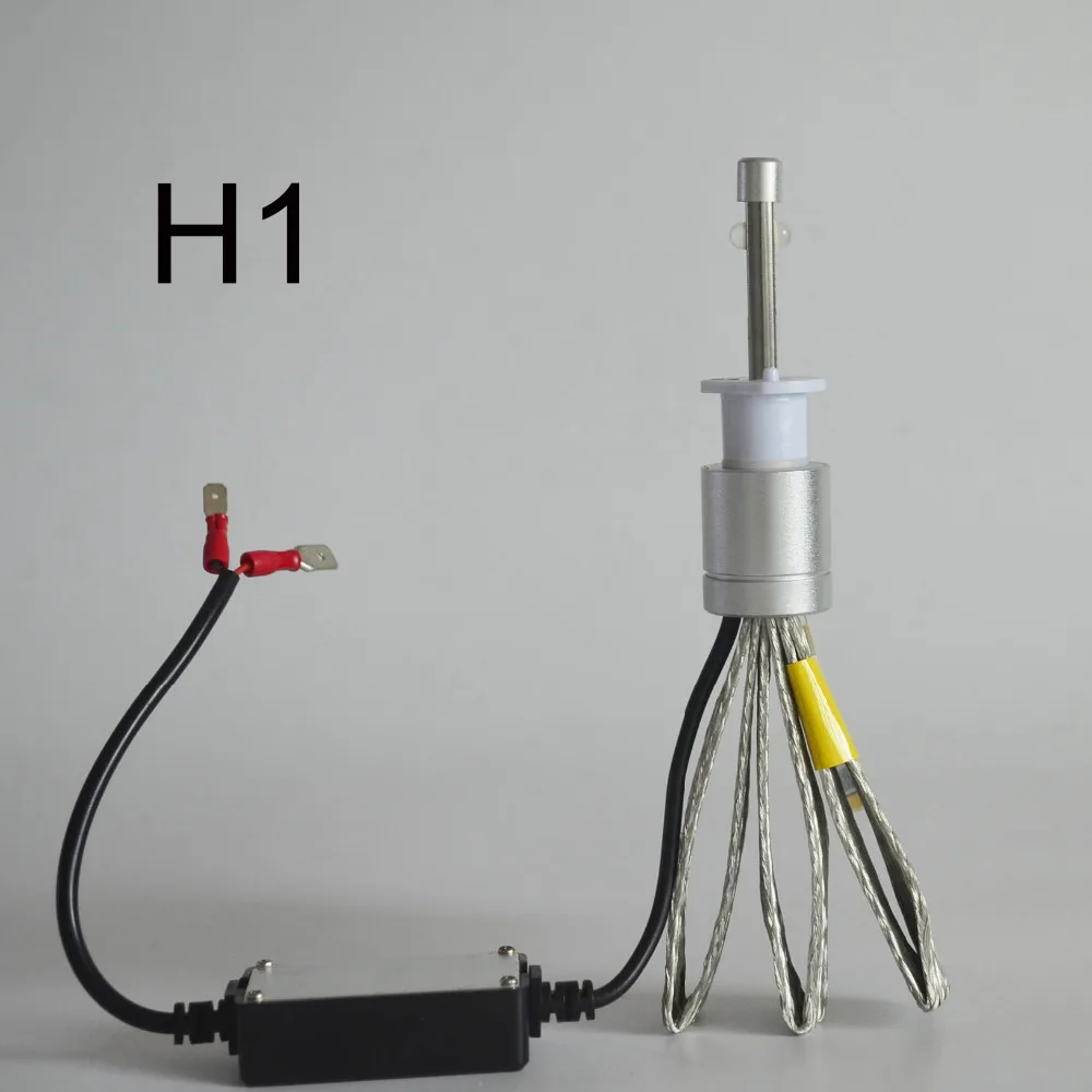 H1 (1)