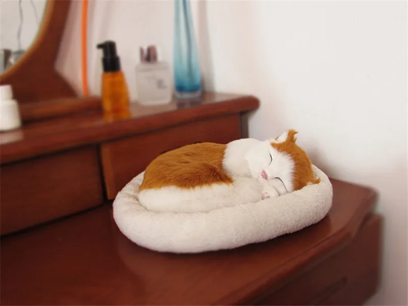 simulation cats (22)