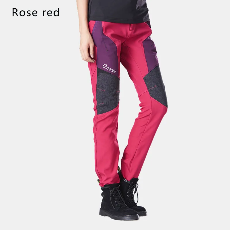 rose red