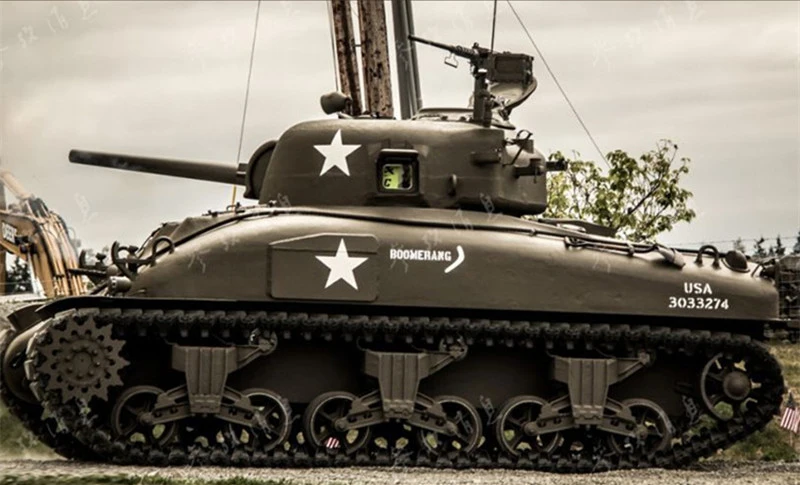 3955294298_916306029