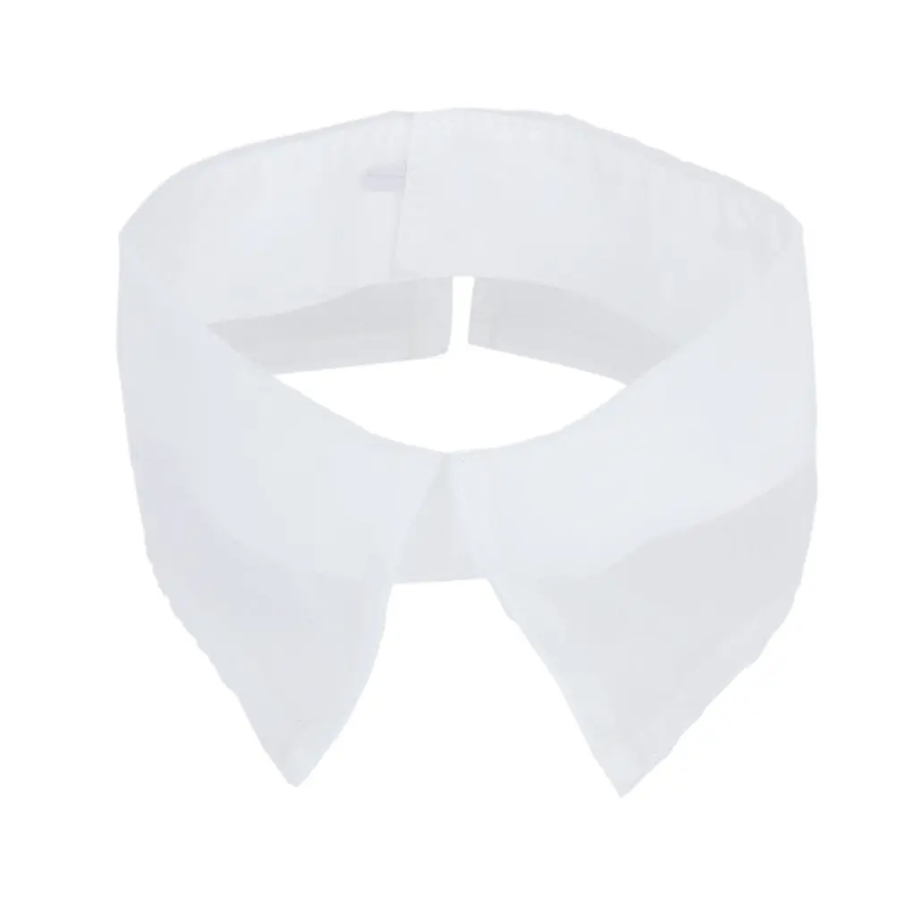 Organza Pointed Vintage Neckline Collar Dress Decoration Whitein DIY