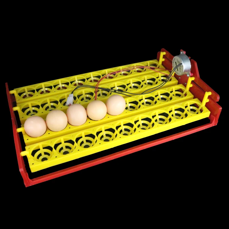 36 Eggs Incubator Automatic Incubator Automatically Turn Egg Tray Incubation Experiment Teaching Equipment 4 * 9 Holes