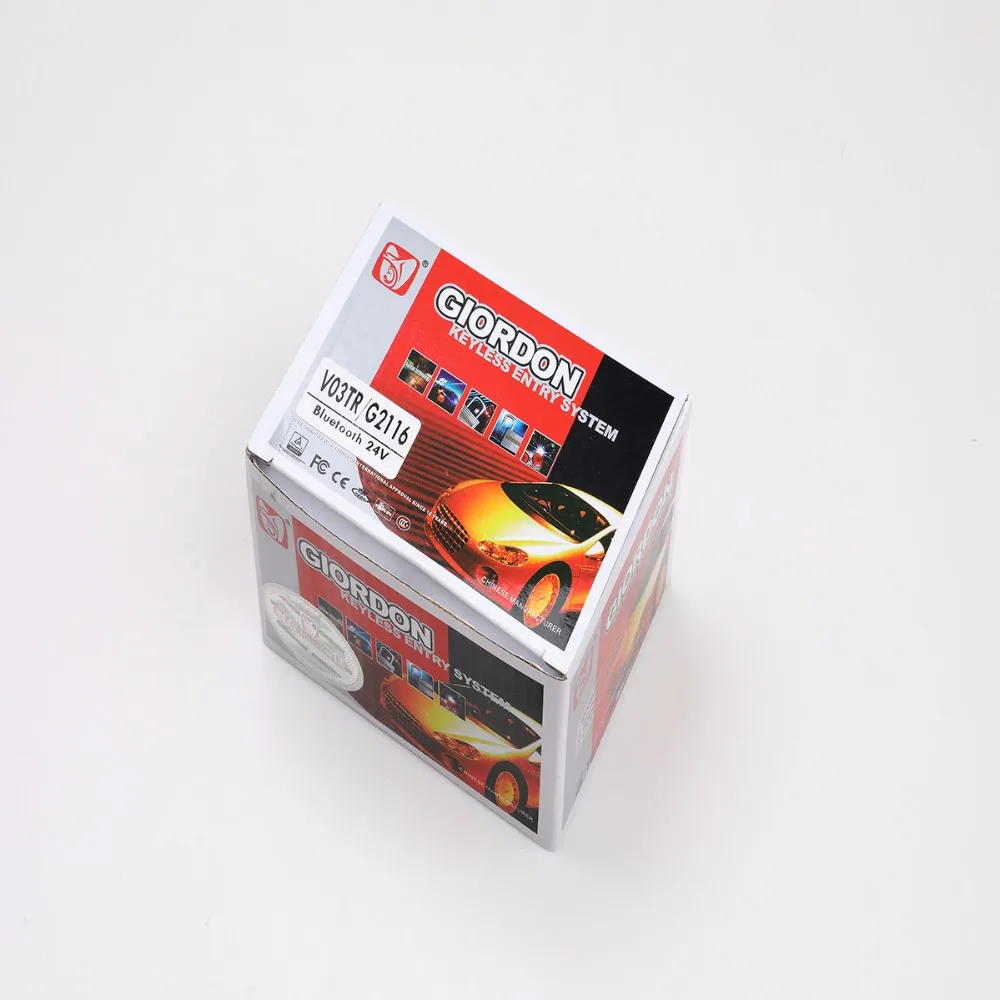 central locking system with alarm (2)