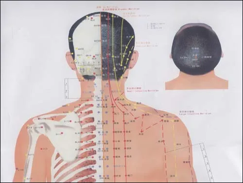 

Human acupuncture points chart, in Chinese & English, 3 charts+1 instructions Paperback 26 pages 2011