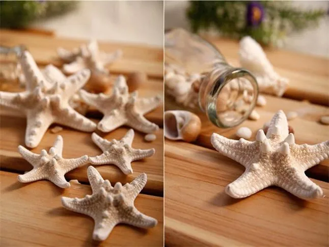 Starfish11