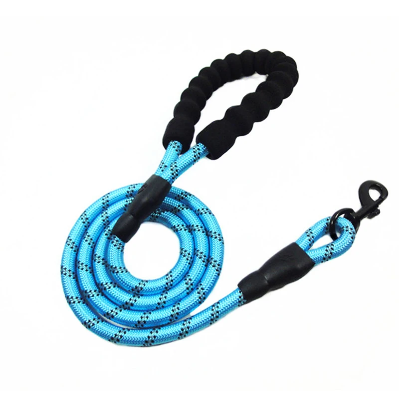 dog leash blue