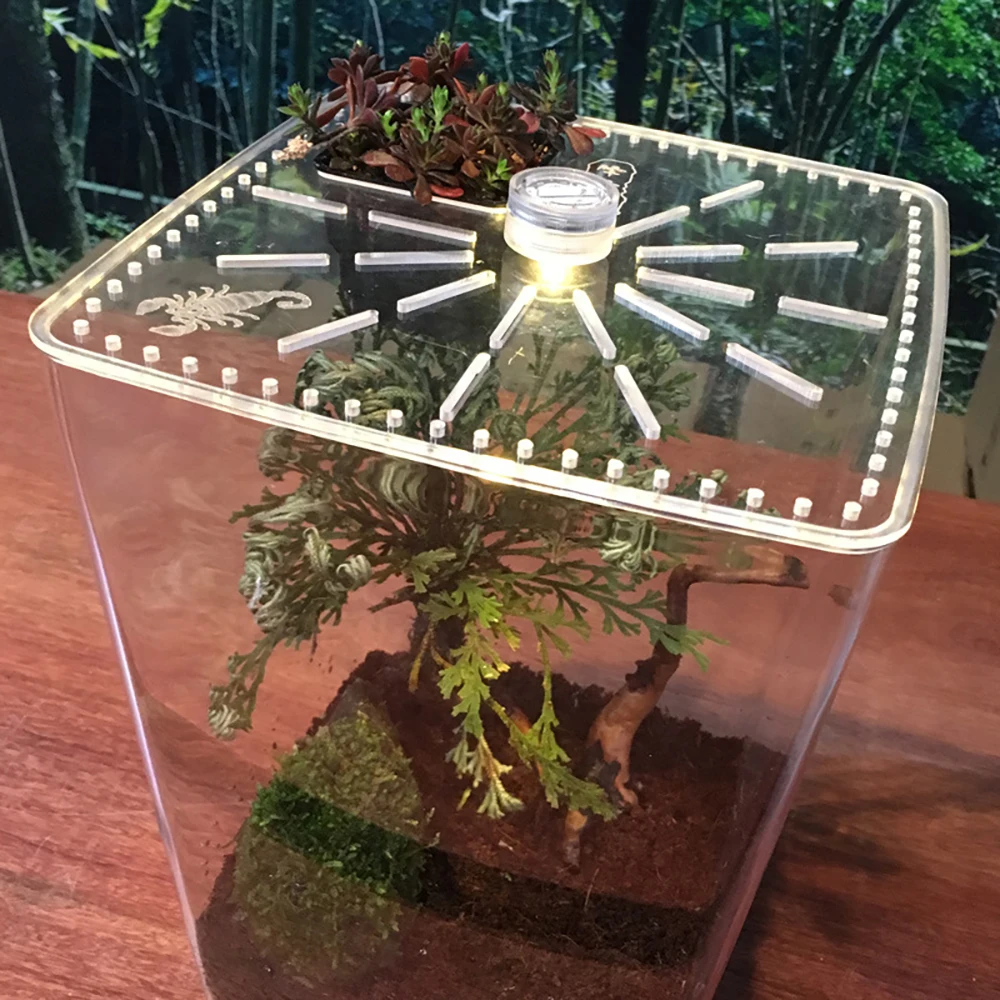 

Desktop Reptile Box Transparent Plastic Acrylic Reptile Feeding Box Spider Scorpion Small Pet Incubation Breeding Box