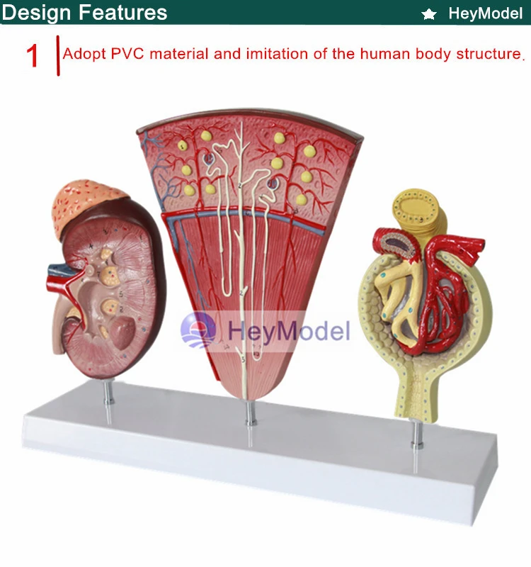 1.PVC_