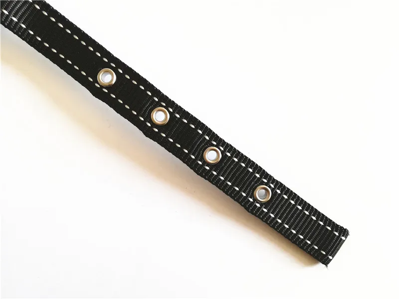Dog Collar and Leash Set (11)