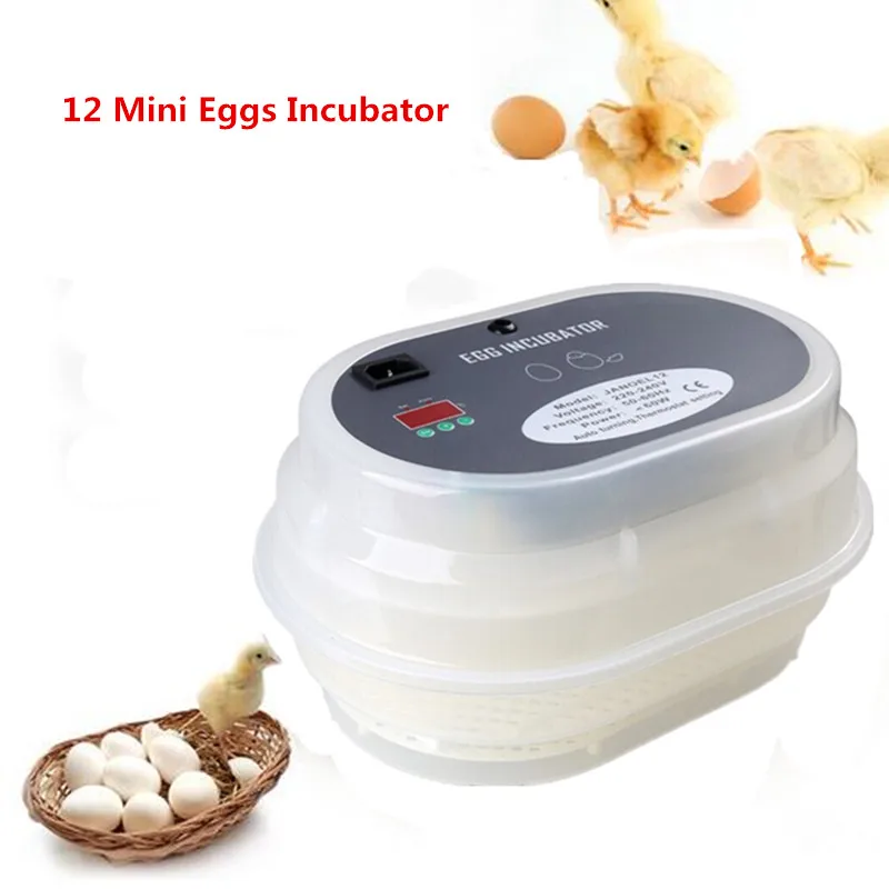 

Mini 12 eggs poultry incubator digital automatic intelligent hatcher machine Auto thermometer hatching tool