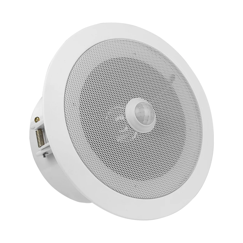 Good Value Overhead Pir Motion Sensor Activated Audio Player