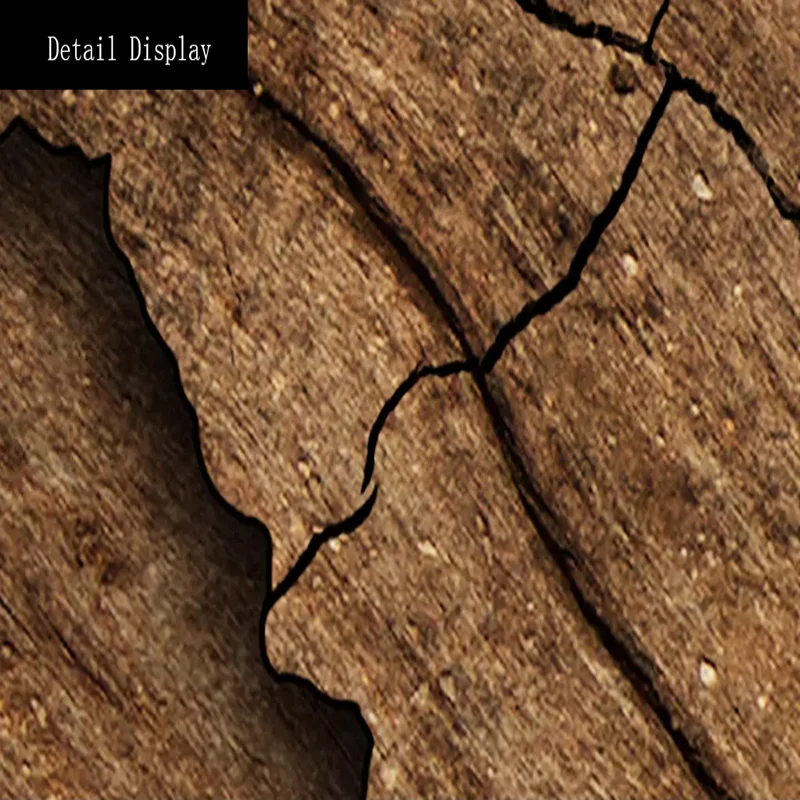 3d retro wood grain world map photo 03