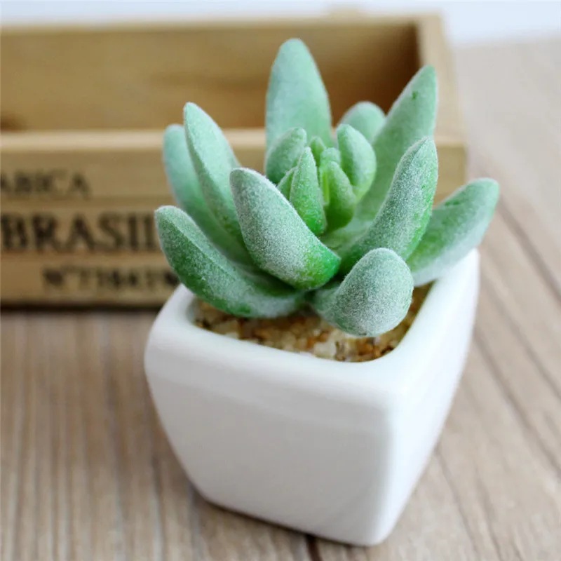 Flone White Small Square Spring Flocking Succulent Plant Bonsai Artificial Plant Bonsai Home Party Office Decor Floral Art (10)