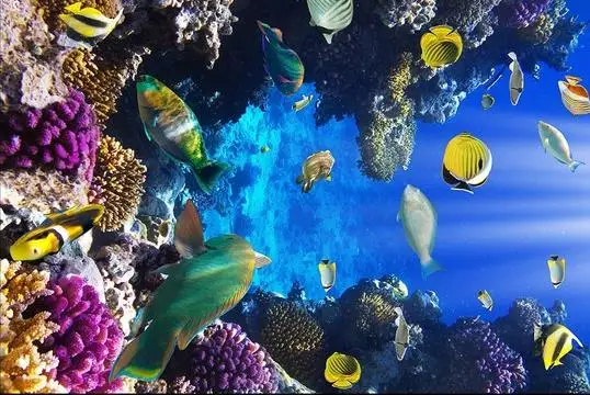 36020150814153558312