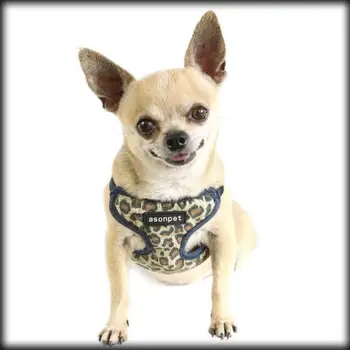 

by dhl or ems 100 pieces Pet Harness Soft Denim Adjustable Safety Control Restraint Cat Puppy Dog Harness Leash