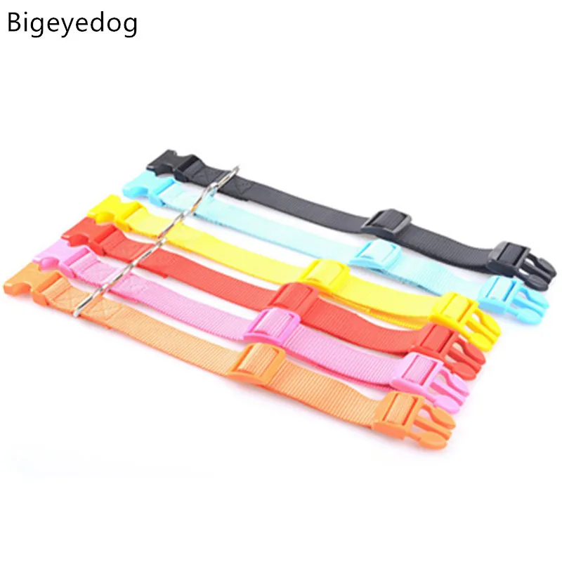 Bigeyedog Durable Nylon Large Dog Collar Golden Retriever ...