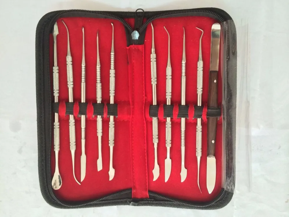 10Pcs/Set Dental Lab Stainless Steel Kit Wax Carving Tool Set Lab