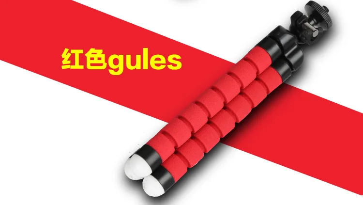 5113636549_1041717859