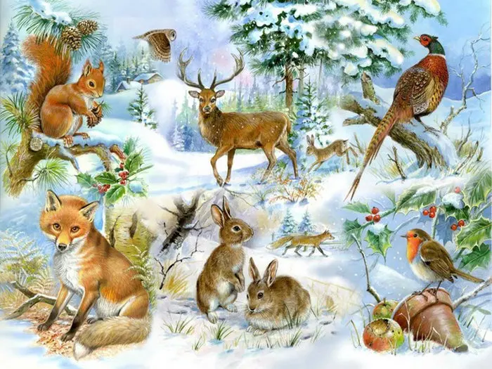 Сказочный зимний лес для детей. Звери зимой в лесу для детей. Животные наших лесов тематическая неделя. Зимующие животные в лесу. Дикие животные зимой.