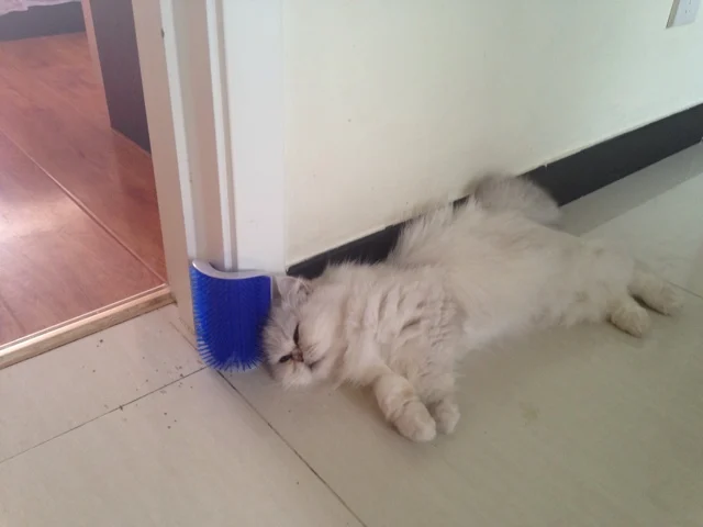 Cat-Supplies-Brush-Hagen-Catit-Massage-Device-Self-Groomer-With-Catnip-Products-For-Cats-sisal-Cat